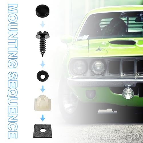 Ziciner Rustproof License Plate Screw Kit - 4PCS