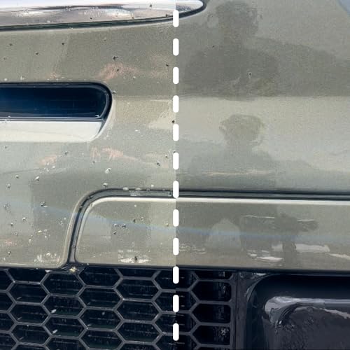 Bug Remover: All-Purpose Car Cleaner - 16oz