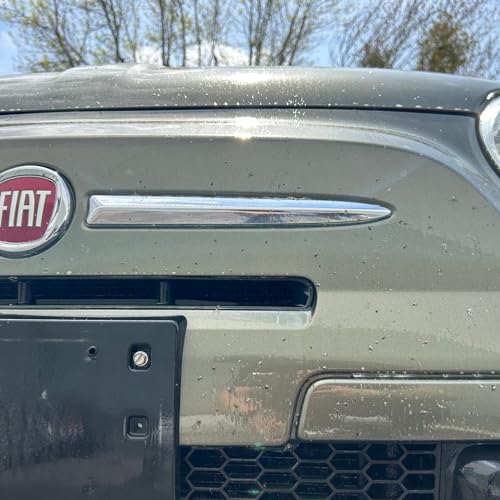 Bug Remover: All-Purpose Car Cleaner - 16oz