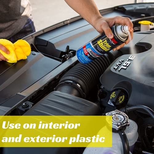 Stoner Car Care Trim Shine Protectant 2-Pack