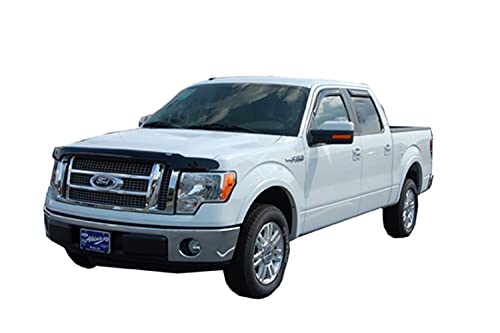 AVS Hoodflector Bug Shield for Ford F-150
