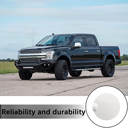 Gas tank door for 04-08 Ford F-150, Lincoln Mark LT