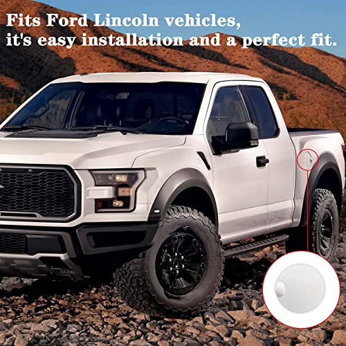 Gas tank door for 04-08 Ford F-150, Lincoln Mark LT