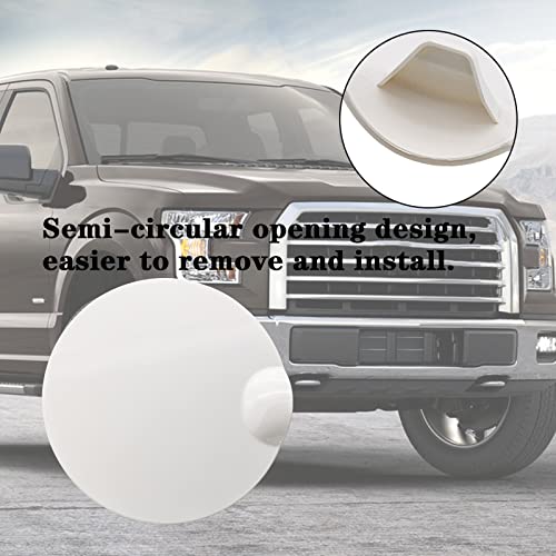 Gas tank door for 04-08 Ford F-150, Lincoln Mark LT