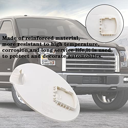 Gas tank door for 04-08 Ford F-150, Lincoln Mark LT