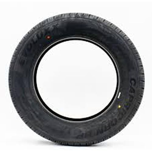 Evoluxx Capricorn HP 205/65R15 High Performance Tire