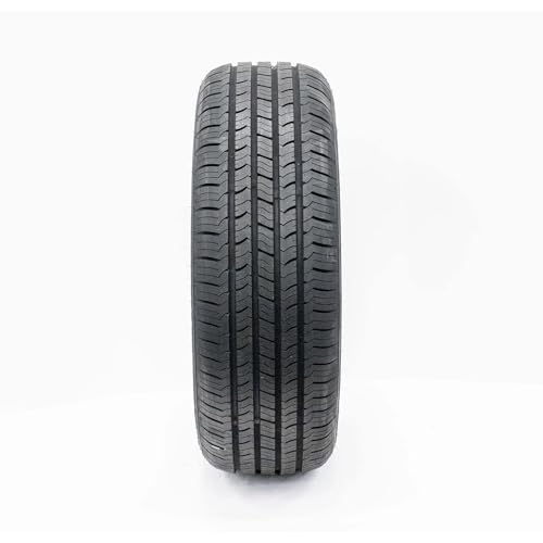 Evoluxx Capricorn HP 205/65R15 High Performance Tire