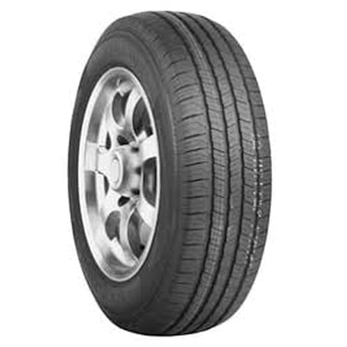 Evoluxx Capricorn HP 205/65R15 High Performance Tire