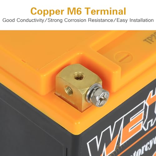 Weize Lithium YTX20L-BS 12V 8AH Motorcycle Battery