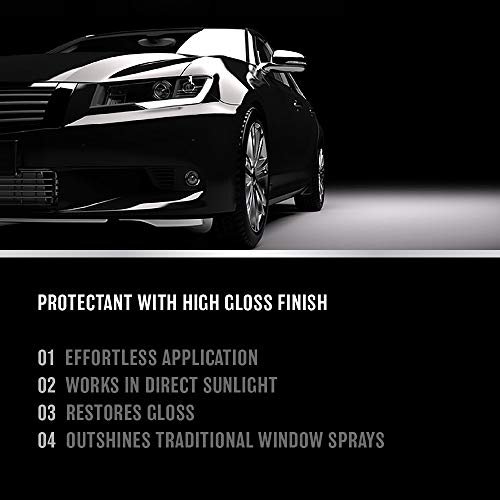 Ammonia-Free Glass Cleaner for All Car Surfaces