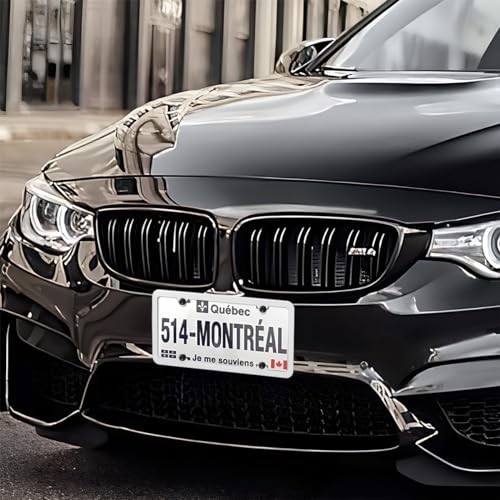 Osilly Slim Carbon Fiber License Plate Frame, 2 Pack