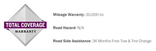Nexen Winguard Winspike Winter Tire - LT245/75R16 E