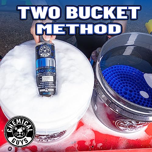 Chemical Guys Meticulous Matte Car Wash Soap, 16oz, 2-Pack