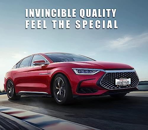 BOARLIDA US Army License Plate Frame Stainless Steel