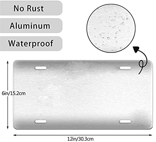 BOARLIDA Veteran US Army License Plate Eagle Design