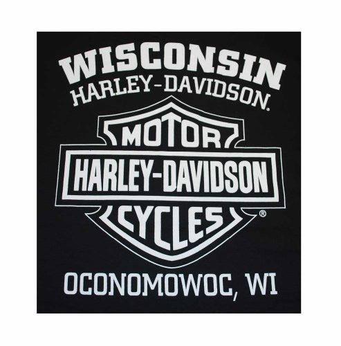 Harley-Davidson Men's Black Skull Badge T-Shirt