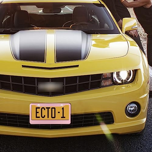 Pink Cherry Blossom License Plate Frame, 2 Pack