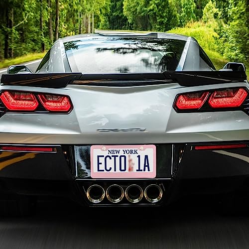 Pink Cherry Blossom License Plate Frame, 2 Pack