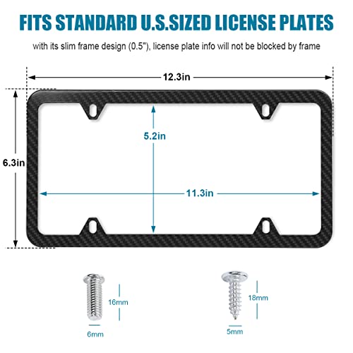 Car License Plate Frames, Stainless Steel, Universal Fit