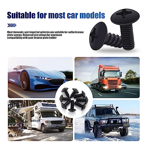 8-Piece Stainless Steel License Plate Screw Kit - Black