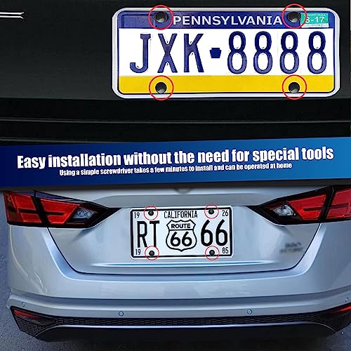 8-Piece Stainless Steel License Plate Screw Kit - Black