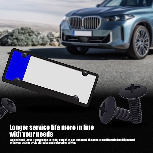 8-Piece Stainless Steel License Plate Screw Kit - Black