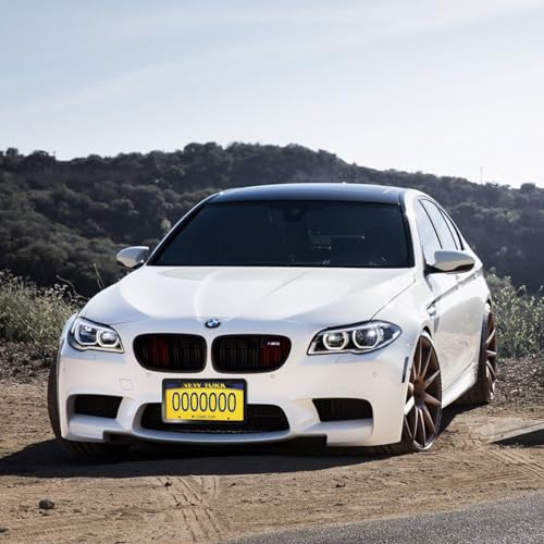 Black Stainless Steel License Plate Frames with Clear Shield