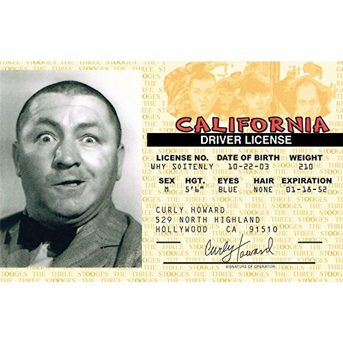 Stooges Curly Driver’s License | Fun Novelty Gift