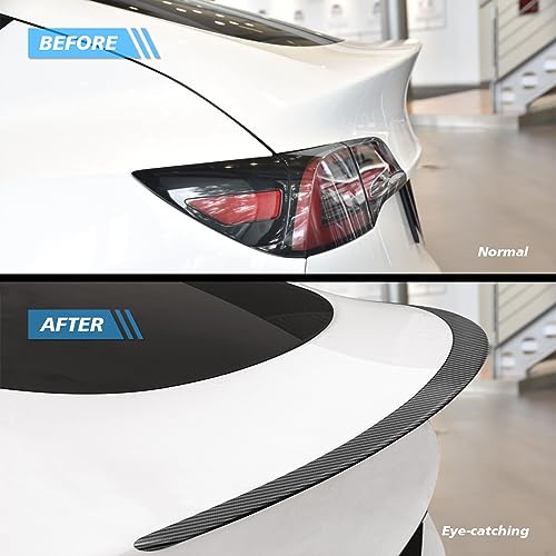 Tesla Model Y Carbon Fiber Spoiler & Console Wrap