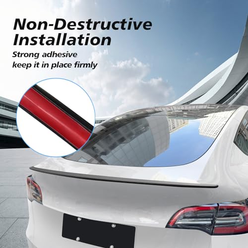 Tesla Model Y Carbon Fiber Spoiler & Console Wrap