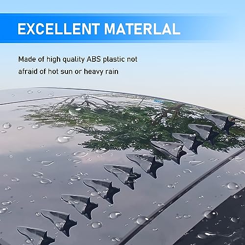 Carbon Fiber Black Shark Fin Spoiler Diffuser Set