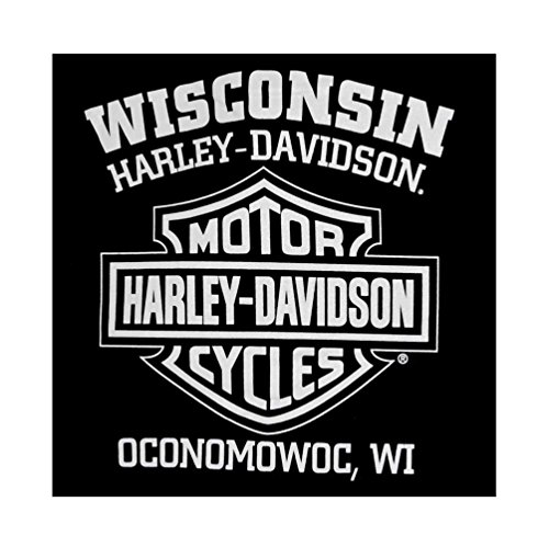 Harley-Davidson Men's Eagle Graphic Black T-Shirt (L)