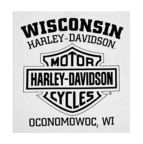 Harley-Davidson Men's White Distressed Freedom Fighter Shirt, XL
