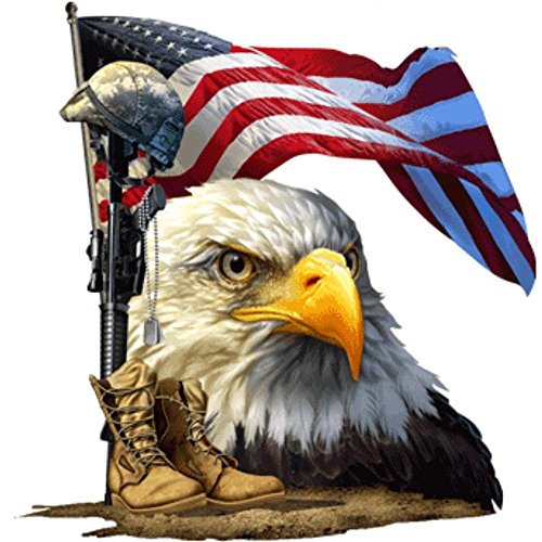 American Flag Bald Eagle Waterproof Vinyl Decal Set