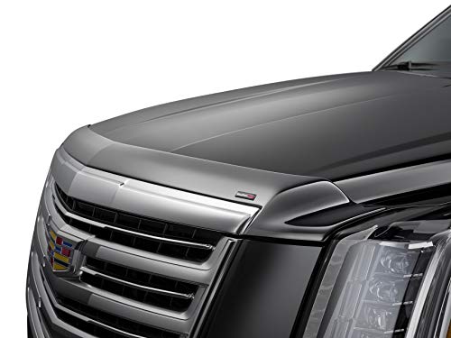 WeatherTech Low-Profile Hood Shield for Toyota Sequoia, Tundra