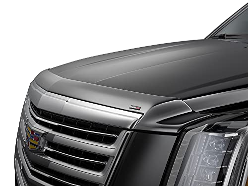 WeatherTech Low-Profile Hood Shield for Toyota Sequoia, Tundra