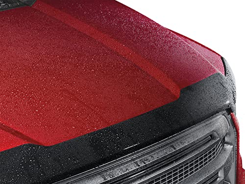 WeatherTech Low-Profile Hood Shield for Toyota Sequoia, Tundra