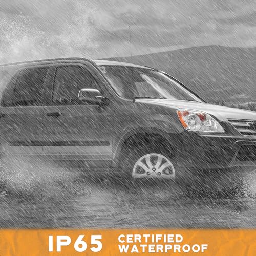 2005-2006 Honda CR-V 4-Door Sport Utility Headlights