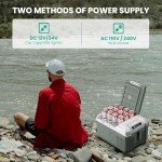 Alpicool 10 Quart 12V Portable Car Refrigerator