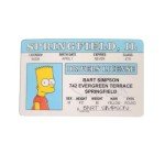 Bart Driver's License | Novelty Collectible Trading Card