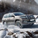 COCO BIRD Snow Chains for Cars, Pickups, SUVs