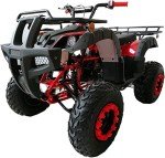 Red 200cc Full Size Adult ATV Quad
