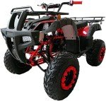 Red 200cc Full Size Adult ATV Quad