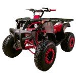 X-PRO 200 ATV with Automatic Transmission and Big Wheels