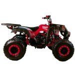 X-PRO 200 ATV with Automatic Transmission and Big Wheels