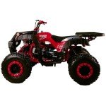 X-PRO 200 ATV with Automatic Transmission and Big Wheels