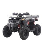 Coleman Powersports AT200R 169cc Gas ATV