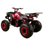 X-PRO 200 ATV with Automatic Transmission and Big Wheels