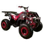 X-PRO 200 ATV with Automatic Transmission and Big Wheels