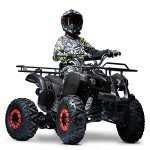 Seangles 125cc Off-Road ATV Quad 4 Wheeler